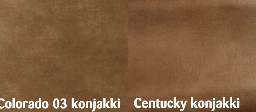 Nordic Copenhagen nojatuoli, konjakki